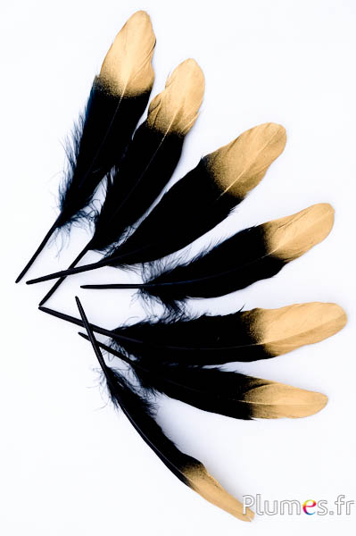 Gans goldene Spitze - 15-21 cm - schwarz